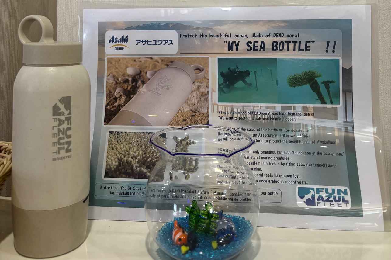 Eco Bottle
