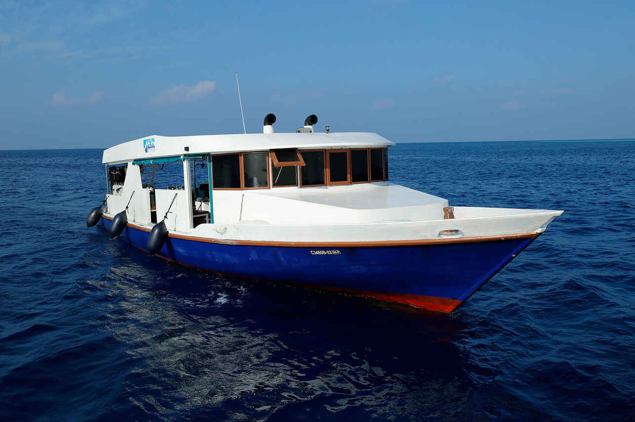 Tender per immersioni - Blue
