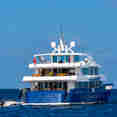 Seafari Explorer 2