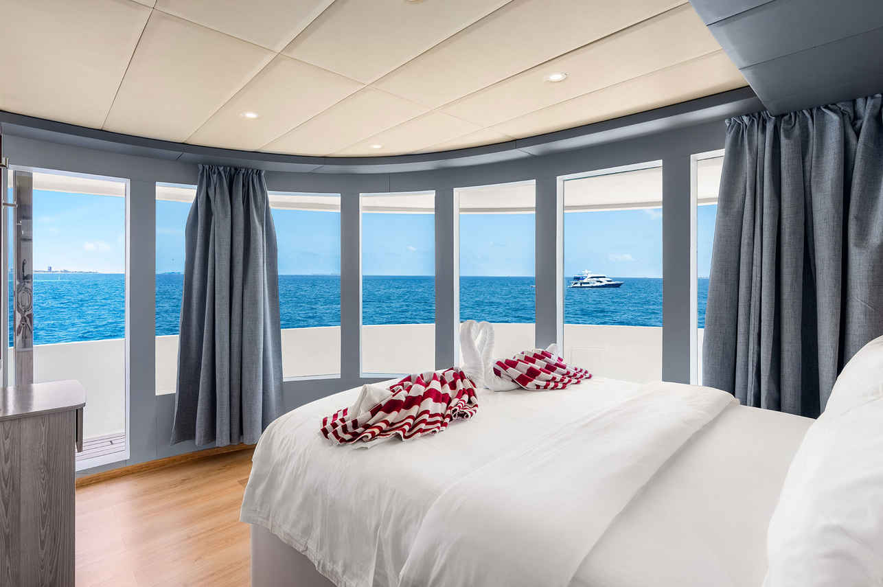 Cabine puente superior  - Seafari Explorer 2