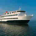 Jardines Avalon IV