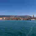 Adriatic King