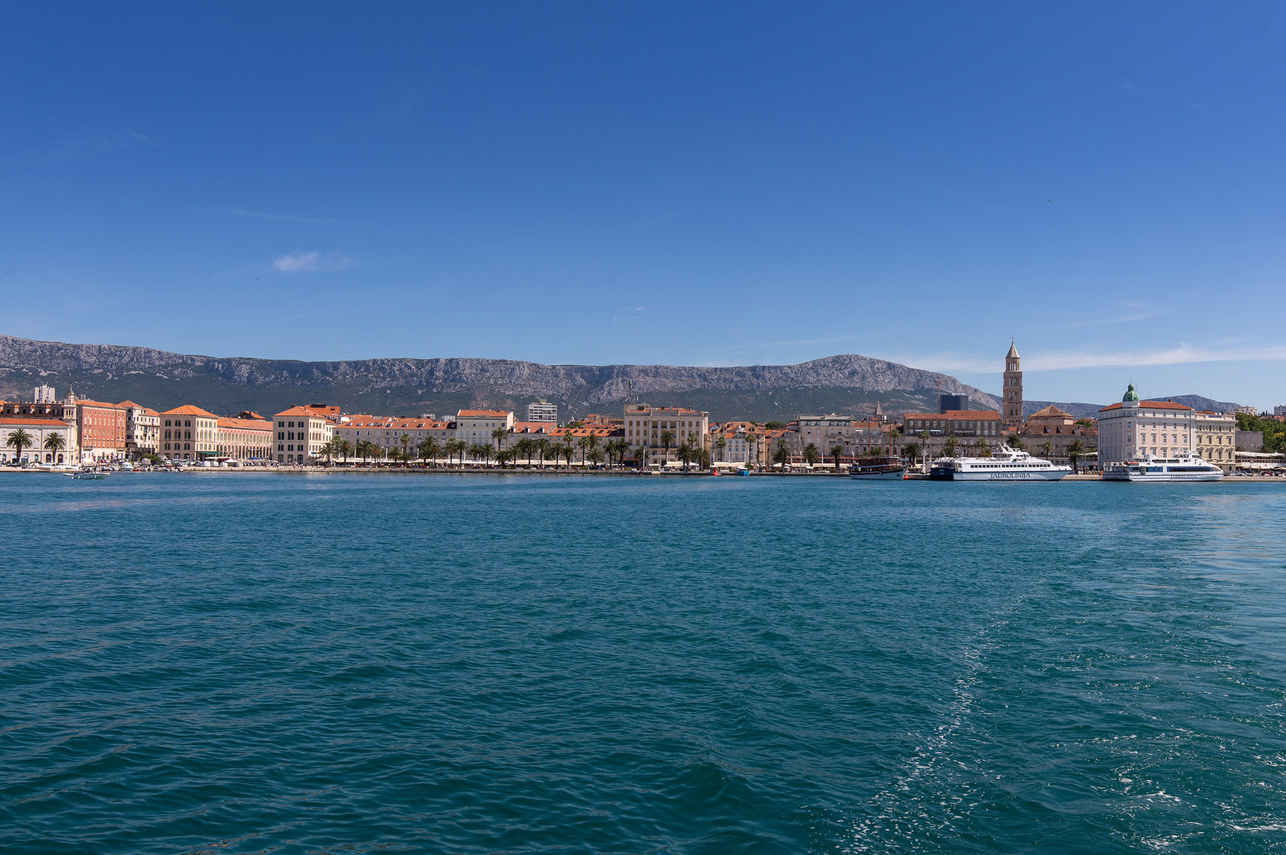 Adriatic King