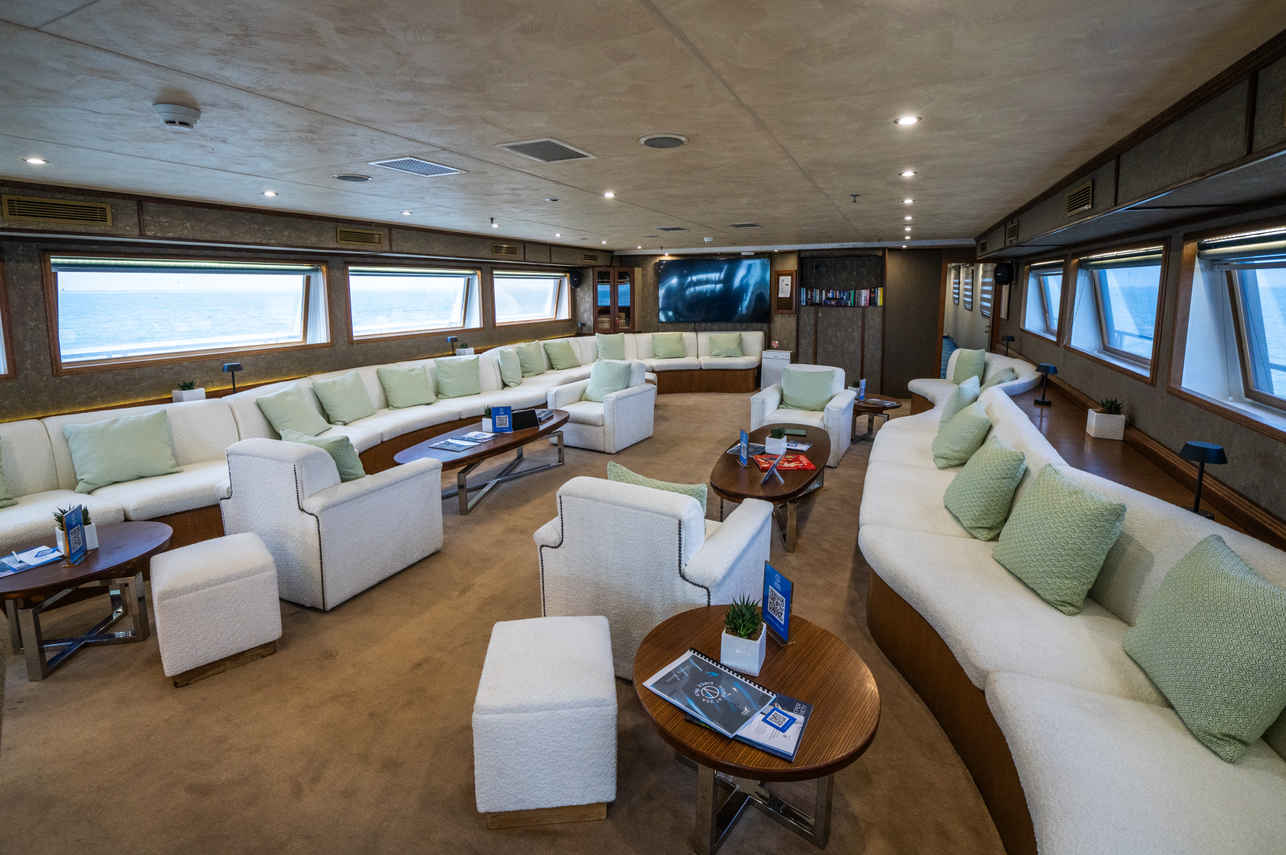 Indoor Saloon - Harmony G