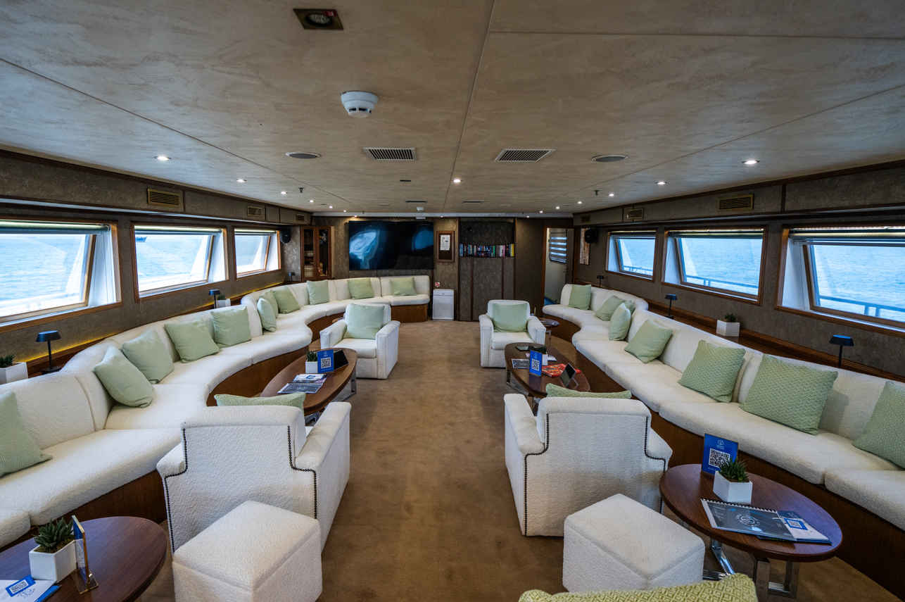 Indoor Saloon - Harmony G