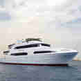 Diamond Explorer