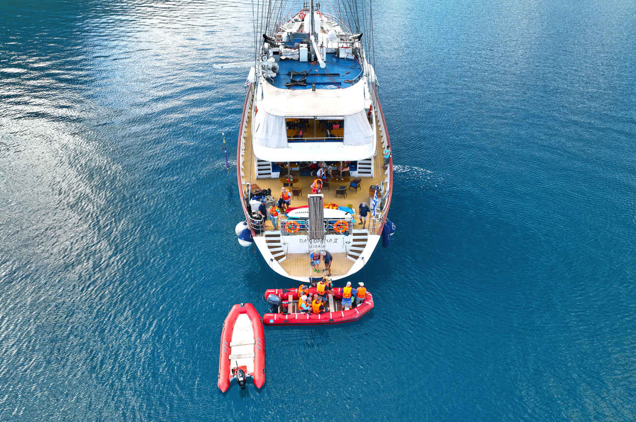 Tenders for transfer