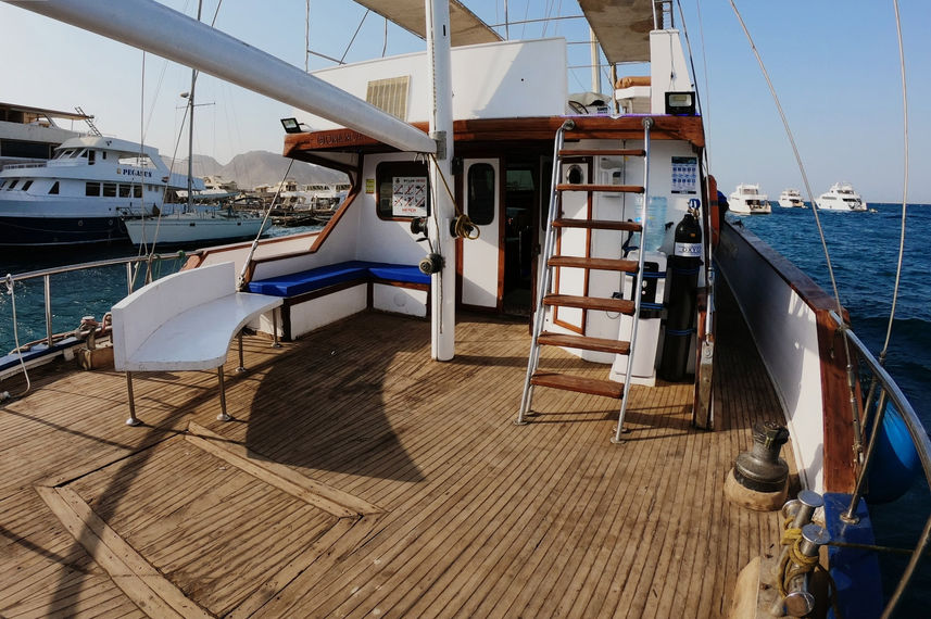 Sun Deck - Gloria Royal