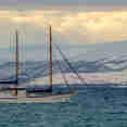 Stella Oceana