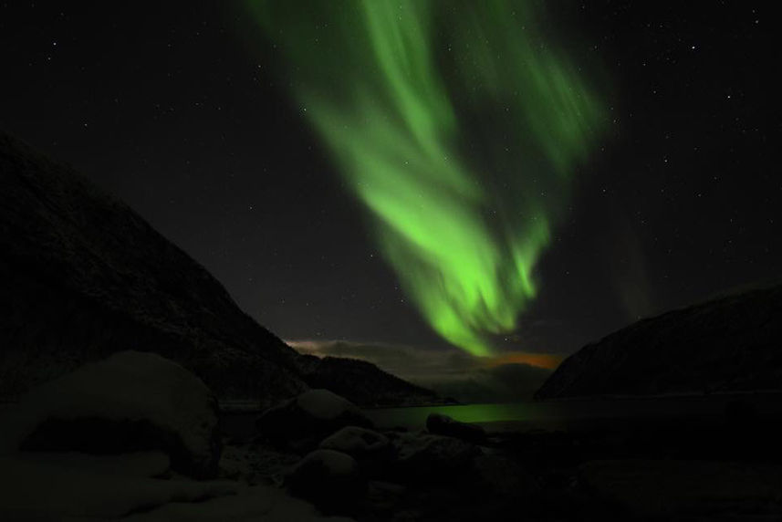 Whale Watching Expedition Northern Lights