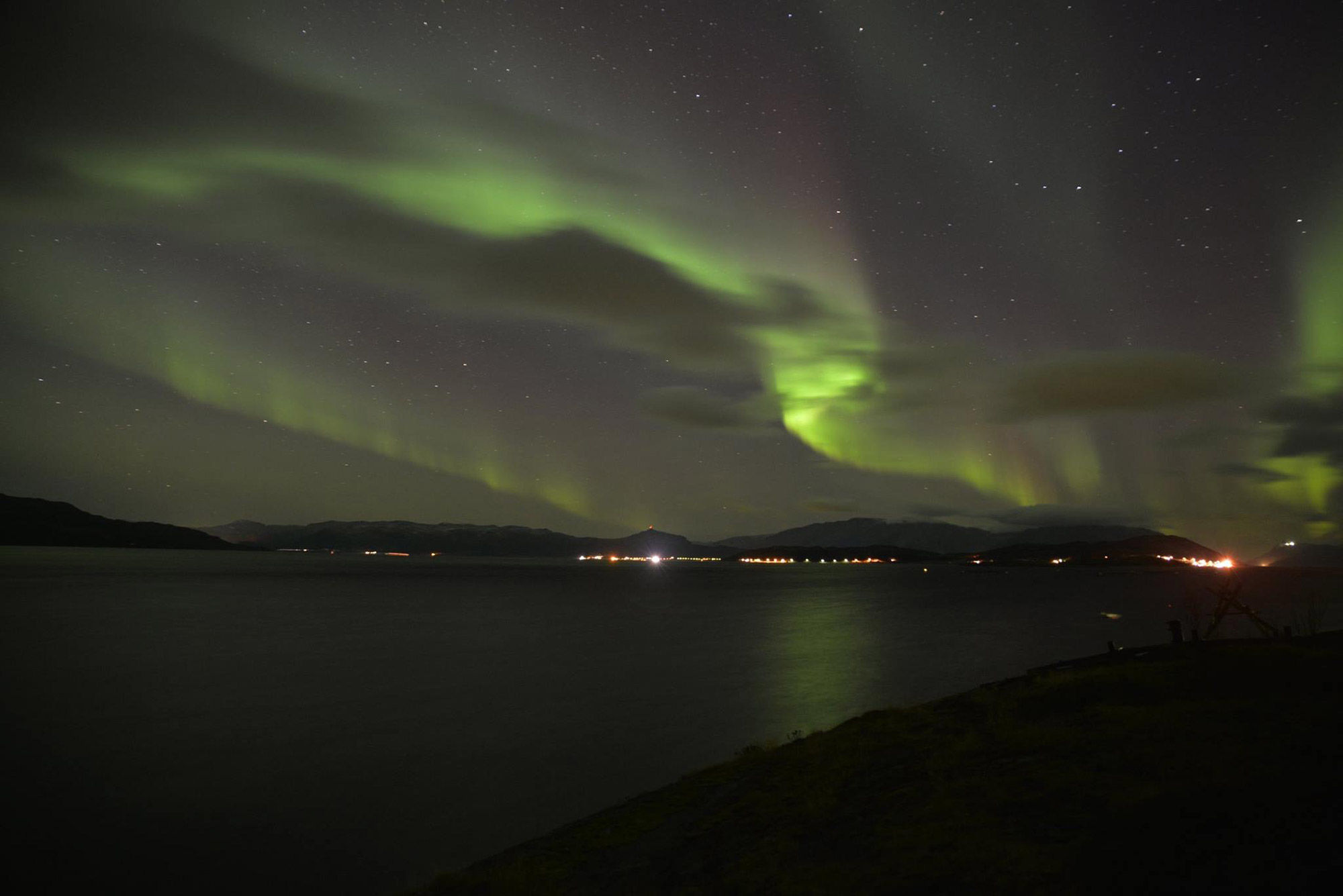 Whale Watching Expedition Northern Lights