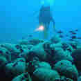 Melina Amphora