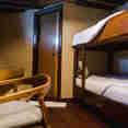 Standard Bunk Cabin - Phinisi Malayeka