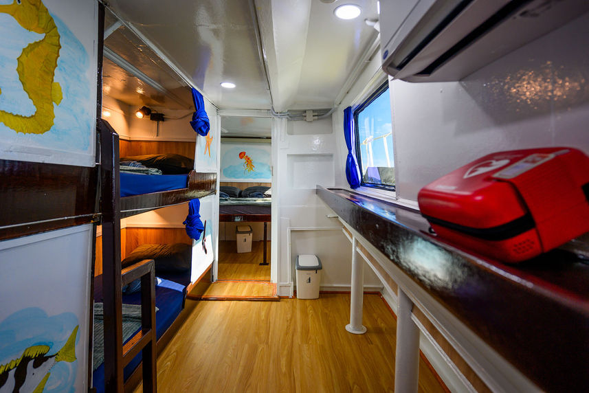 Standard Bunk Cabin - Andaman