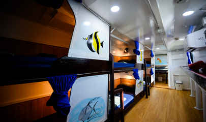 Cabin #6 Beds Right - DORM