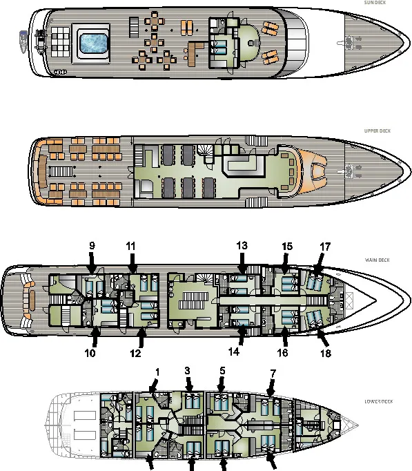 disposizione del ponte