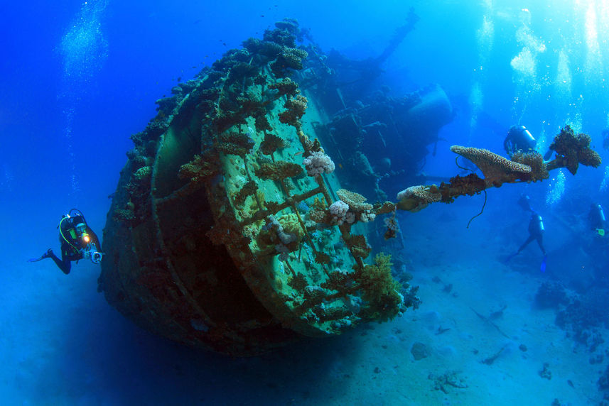 Wreck Diving - Silky