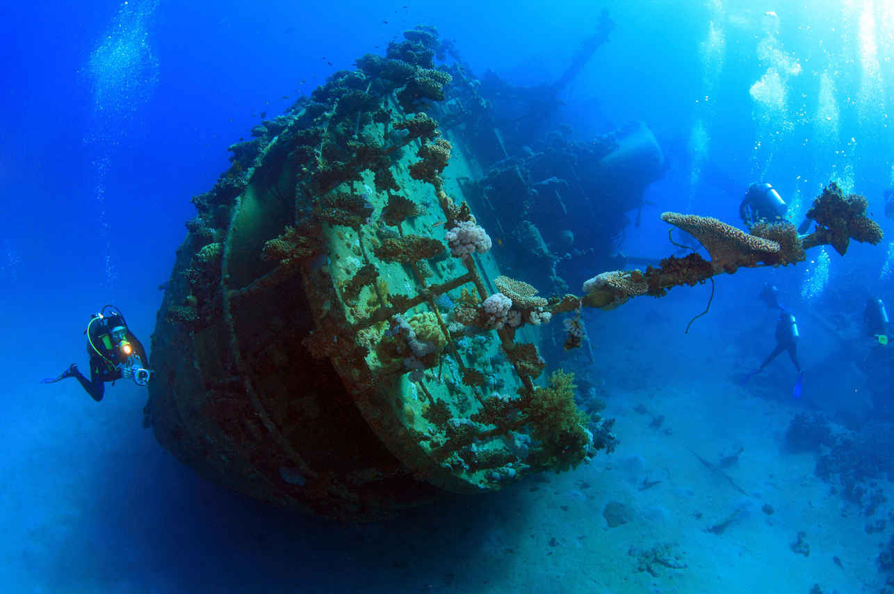 Wreck Diving - Silky
