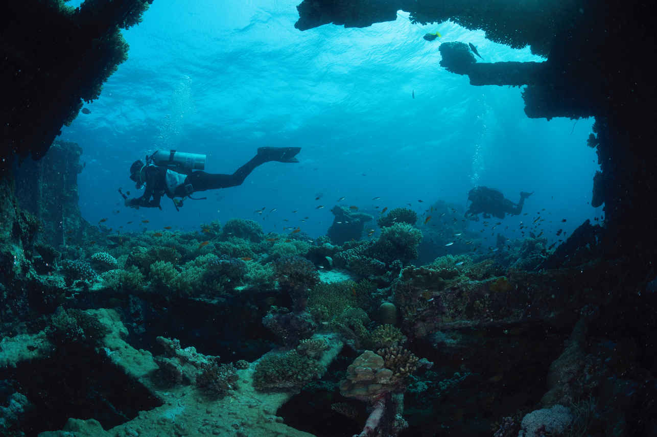 Diving
