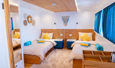 Twin Bed Convertible Suite - Upper Deck