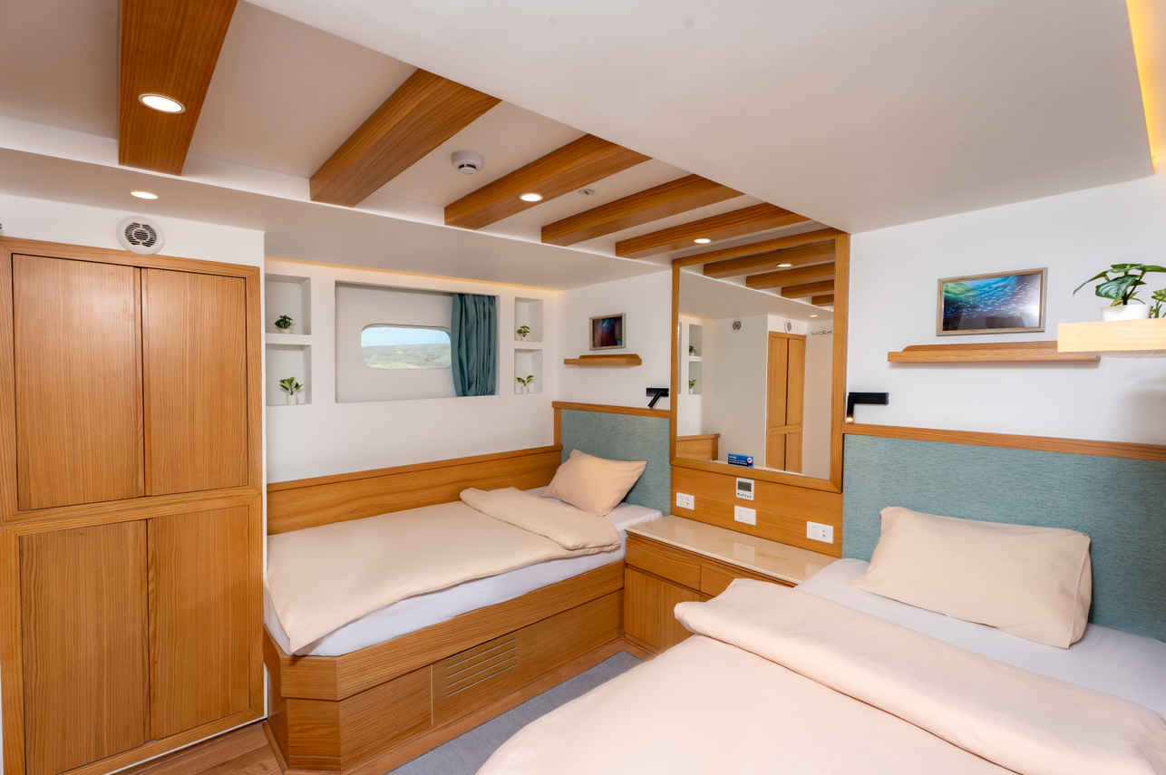 Lower Deck Twin