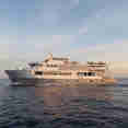 BVI Aggressor
