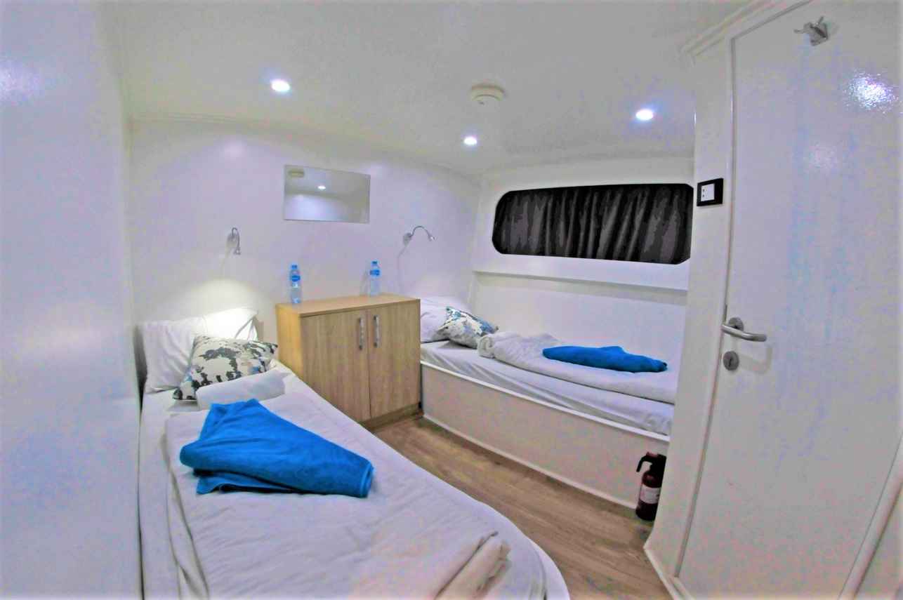 Cabins - Carlton