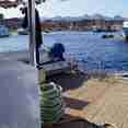Dive deck - Carlton