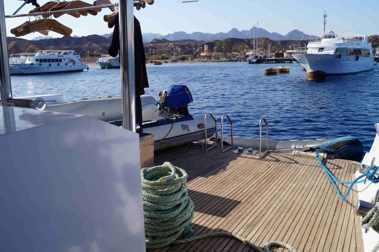 Dive deck - Carlton