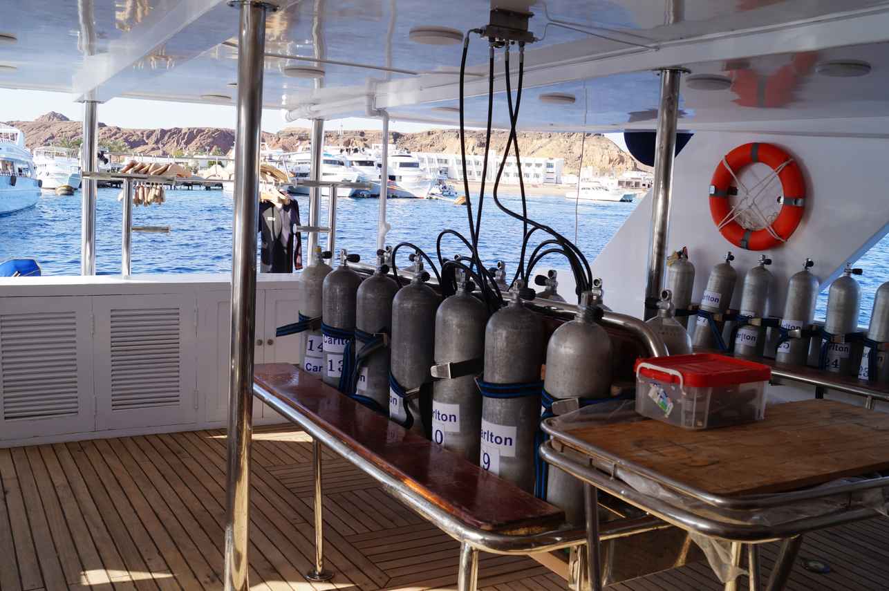 Dive deck - Carlton