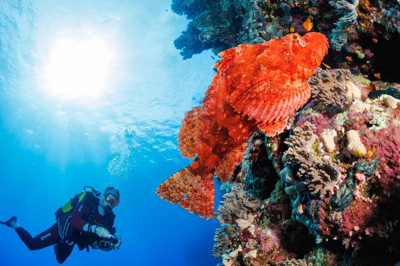 Diving