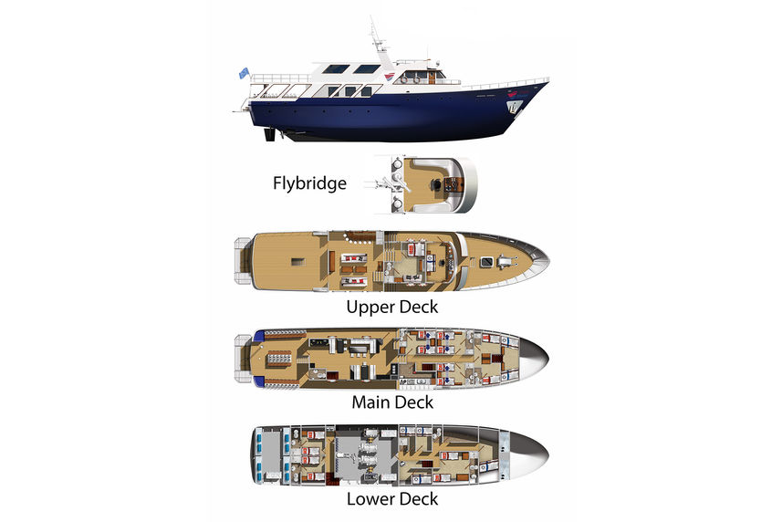 #deckplan floorplan