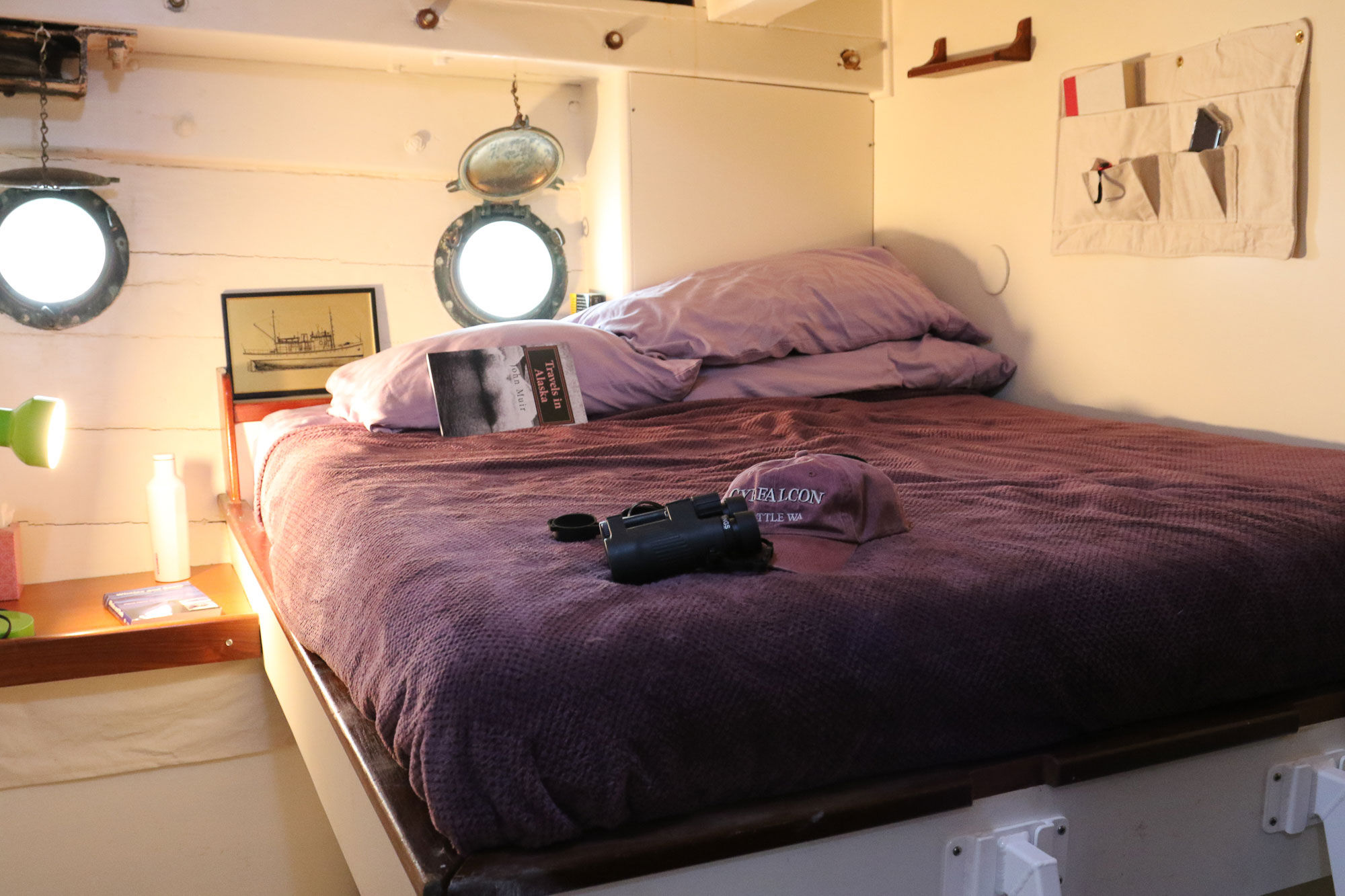 Stateroom - Gyrfalcon