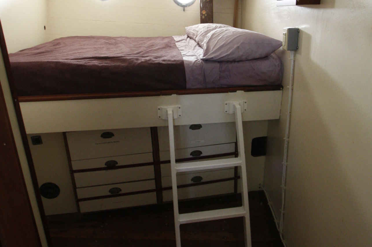 stateroom  - Gyrfalcon
