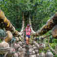 Island Exploration - Cocos Island Aggressor