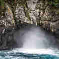Island Exploration - Cocos Island Aggressor