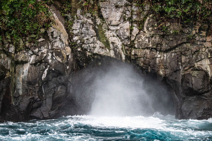 Exploracion insular  - Cocos Island Aggressor