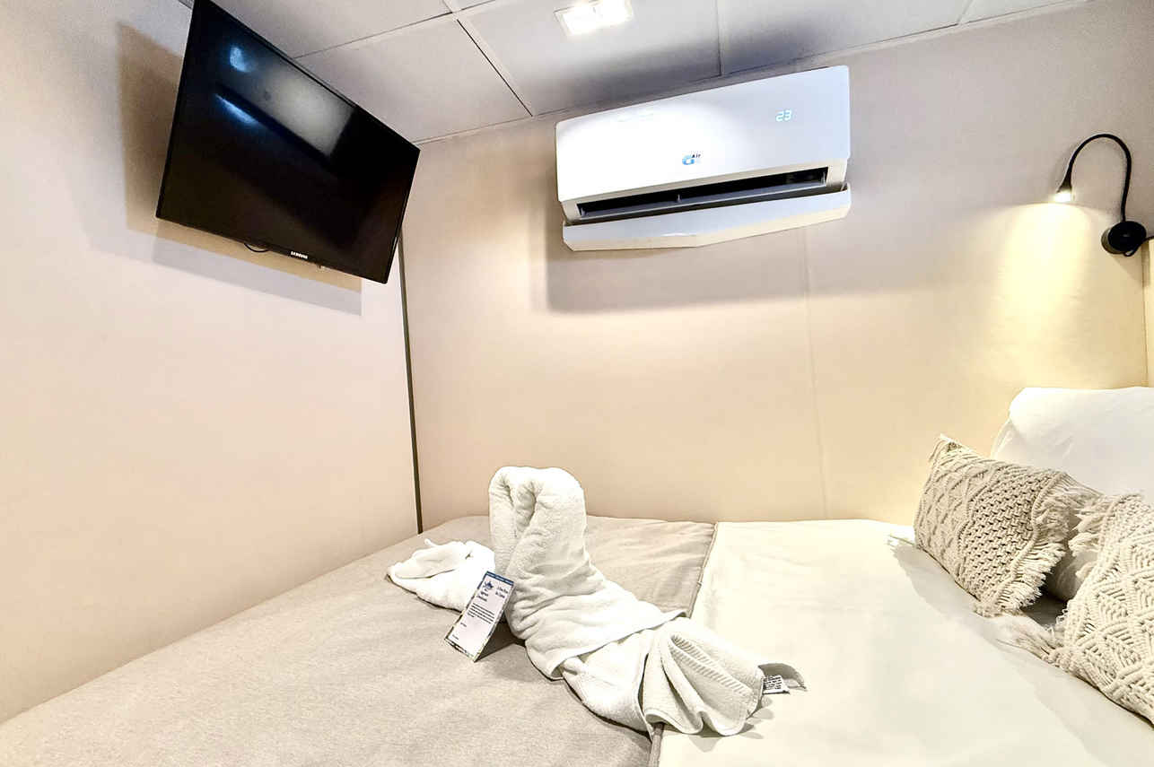 Solo Stateroom