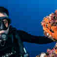 Diving