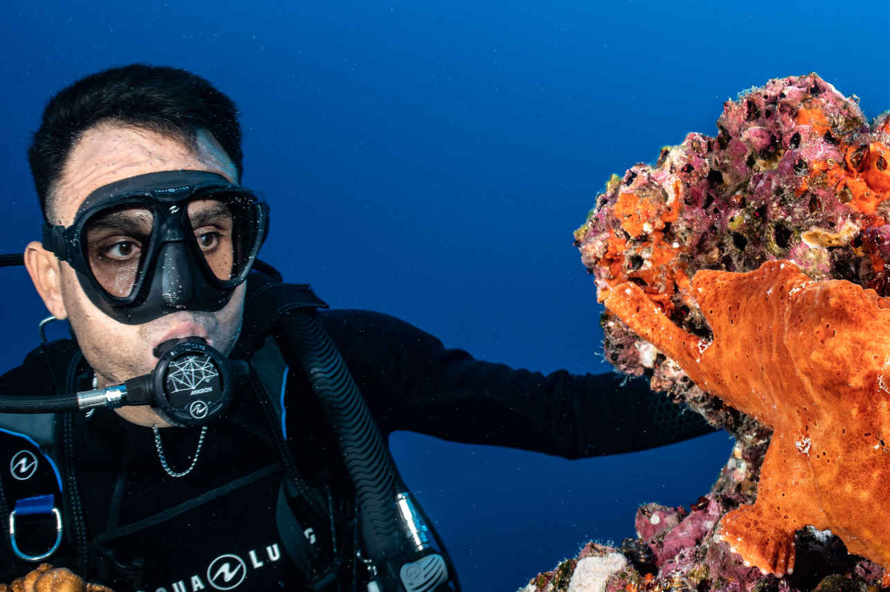 Diving