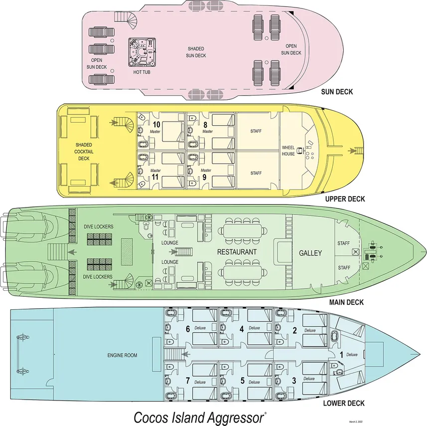 disposizione del ponte