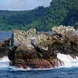 Eilandexploratie - Cocos Island Aggressor