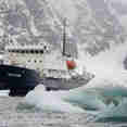 Iceberg