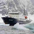 Iceberg