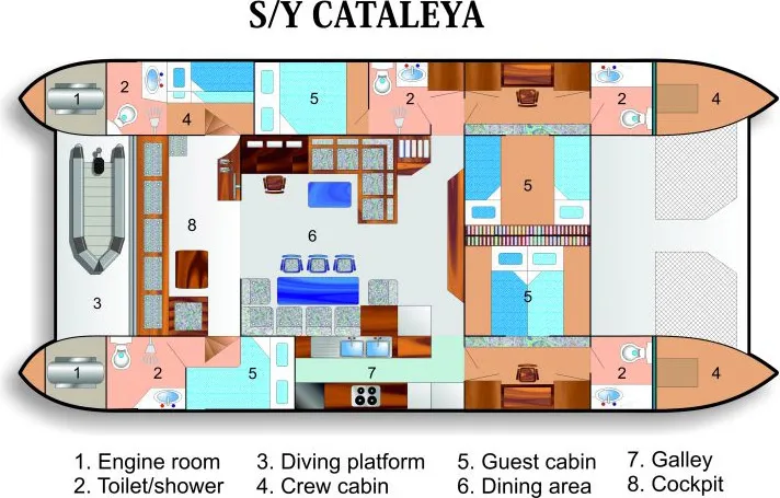 disposizione del ponte