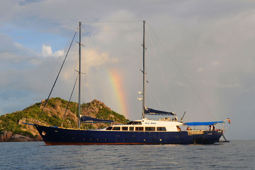 Sea Bird Cruise