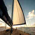 Sea Bird Cruise - Front Deck