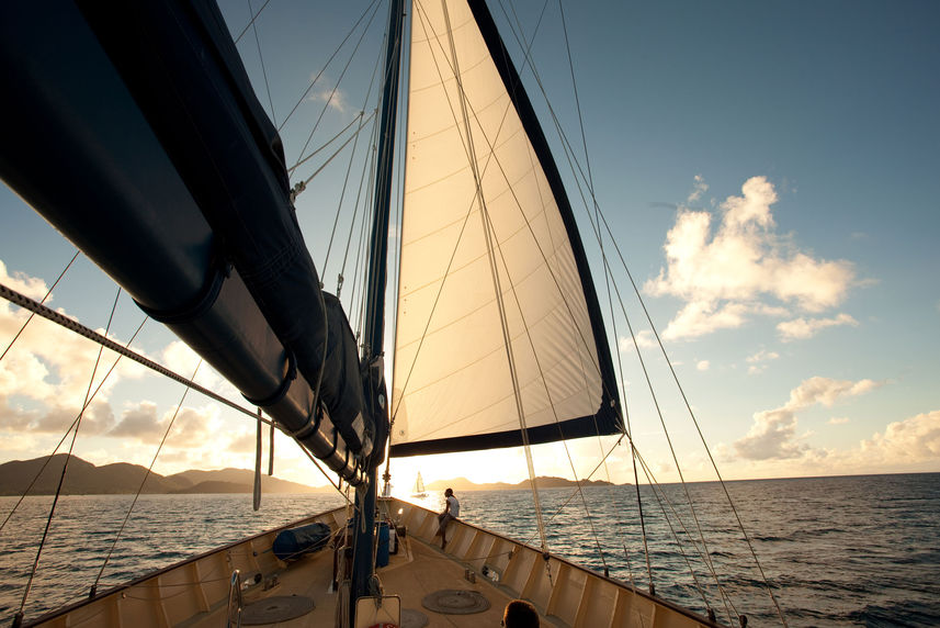 Sea Bird Cruise - Front Deck