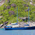 Sea Bird Cruise