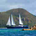 Sea Bird Cruise